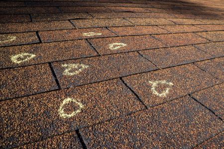 Why Timely Roof Repair Protects Your Home and Your Budget